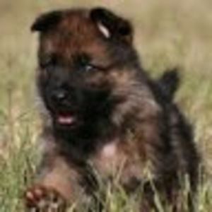 Meet your Posher, Jillian